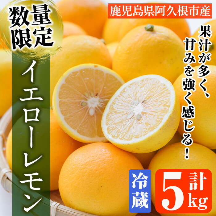 【ふるさと納税】数量限定！冷蔵品イエローレモン(5kg)国産 マイヤーレモン 檸檬 オレンジ 果実 果物 フルーツ 柑橘 デザート 期間限定【桐野柑橘株式会社】a-20-9-z