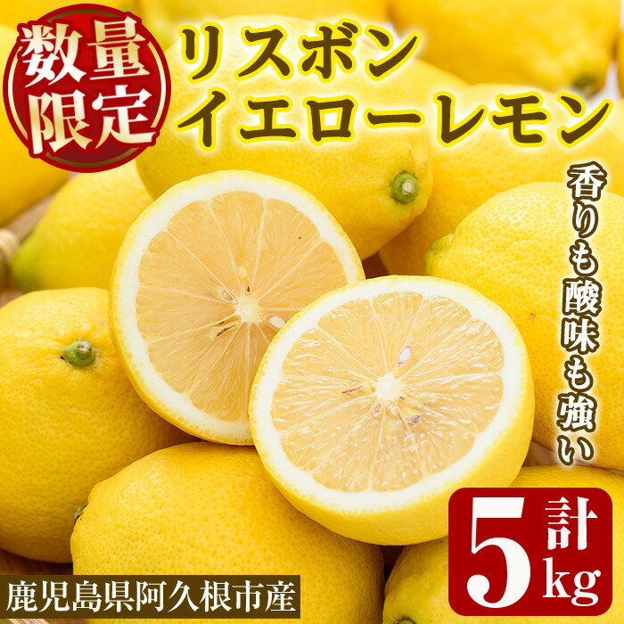 【ふるさと納税】数量限定！リスボンイエローレモン(5kg)国産 果実 果物 リスボンレモン フルーツ 檸檬 柑橘 デザート 期間限定【桐野柑橘株式会社】a-20-17-z
