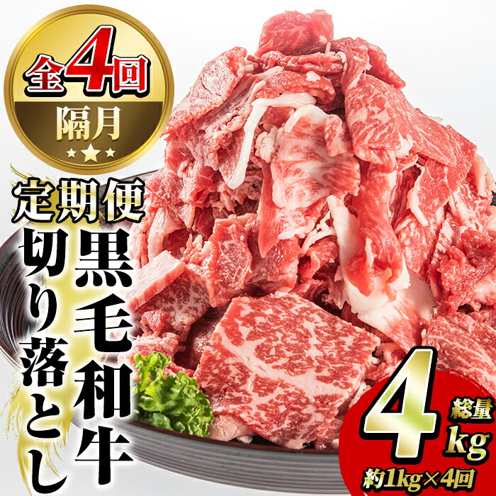 【ふるさと納税】＜定期便・全4回(隔月)＞鹿児島県産！黒毛和牛切り落とし定期便(総量4kg)国産 九州産 鹿児島産 牛肉 国産牛 切り落とし 切落し 赤身 小分け 頒布会【スターゼン】akn042-24
