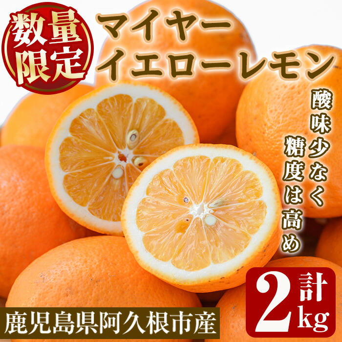 【ふるさと納税】数量限定！露地イエローレモン(約2kg) 国産 果実 果物 レモン イエローレモン フルーツ 檸檬 柑橘 デザート 期間限定【桐野柑橘株式会社】a-12-339-z