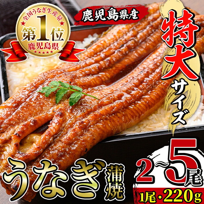 【ふるさと納税】＼特大サイズ／ 尾数が選べる！ 鹿児島県産 うなぎ蒲焼 ( 2尾 / 3尾 / 5尾 ) 1尾 約220g たれ 山椒付きうなぎ 鰻 ウナギ 特大 特大サイズ 蒲焼き 国産 鹿児島県産 焼きたて 生産量日本一 おかず 晩御飯 特別な日 土用の丑の日 選べる 【薩摩川内鰻】