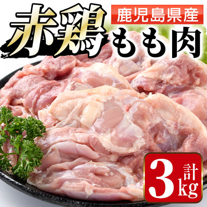 ふるさと納税 赤鶏もも肉 計3kg 1kg 3袋 唐揚げ 照り焼きに最適な鹿児島県産の鶏肉をお届け まつぼっくり 安心とおいしさを守る検査体制の中で加工したとり肉です ふるさと納税 出水市 特産品 国産 鶏肉 モモ肉 発送の時期は 平和活動にも取り組んだ Diasaonline Com