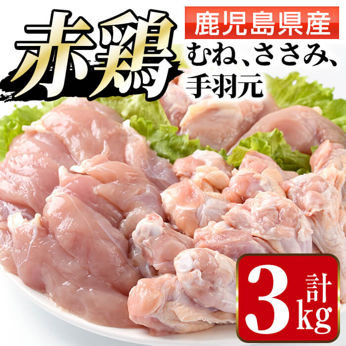 ふるさと納税 赤鶏ムネ肉 ささみ 手羽元セット 計3kg 鹿児島県産の鶏肉を3種お届け まつぼっくり 安心とおいしさを守る検査体制の中で加工したとり肉です ふるさと納税 出水市 特産品 国産 鶏肉 モモ肉 むね肉 Rentmy1 Com