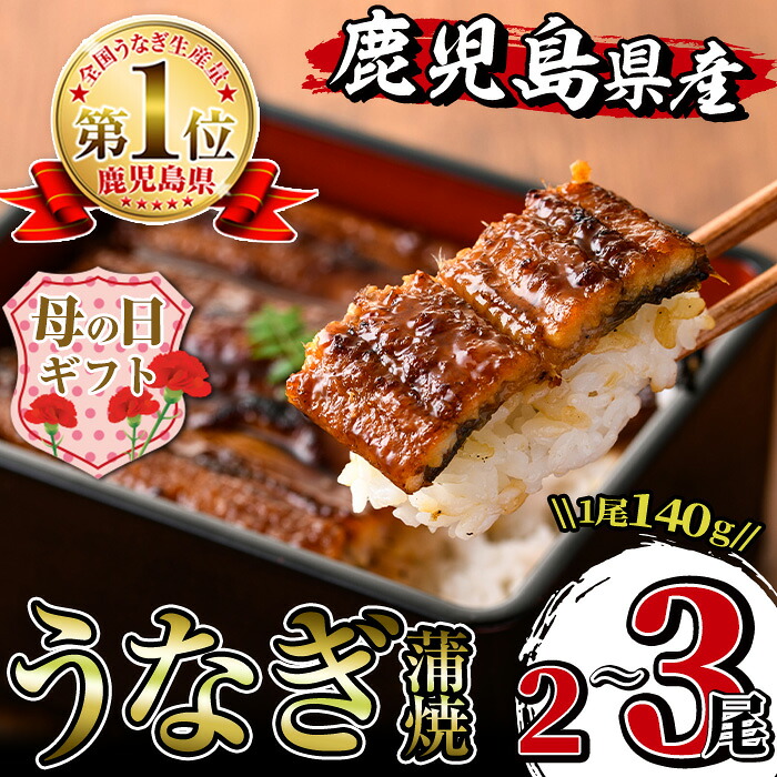 【ふるさと納税】【母の日ギフト】尾数が選べる！鹿児島県産うなぎ蒲焼(2尾 or 3尾) 1尾約140g うなぎ 鰻 ウナギ 2尾 3尾 選べる 蒲焼き 国産 鹿児島県産 焼きたて 生産量日本一 真空パック おかず 晩御飯 特別な日 母の日 プレゼント ギフト 贈答 【薩摩川内鰻】