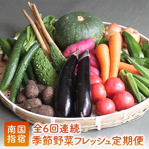 【ふるさと納税】＜定期便！翌月から連続全6回＞指宿産季節野菜の詰め合わせ(10～13品目) 定期便 野菜 詰め合わせ 旬 野菜ボックス お楽しみボックス 【岡村商店】
