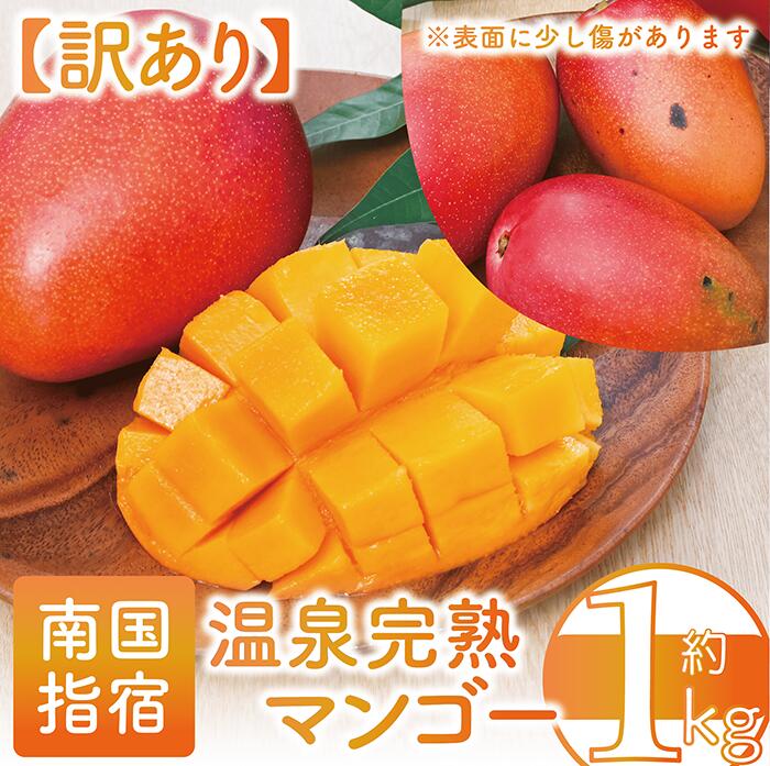 【ふるさと納税】＜訳あり・期間限定＞温泉完熟マンゴー(約1kg・2～4玉) 果物 フルーツ 完熟 スムージー ジュース 夏 旬 南国 家庭用 自宅用 鹿児島 いぶすき【トロピカルファームいぶすき】