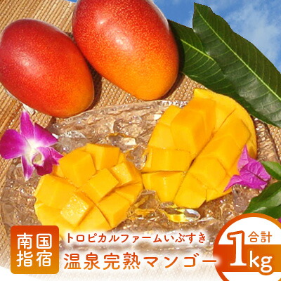 【ふるさと納税】】＜先行予約受付中！2025年7月上旬以降順次発送＞温泉完熟マンゴー(約1kg・2～3玉) マンゴー フルーツ 果物 旬 ギフト 贈答品 完熟マンゴー 【トロピカルファームいぶすき】