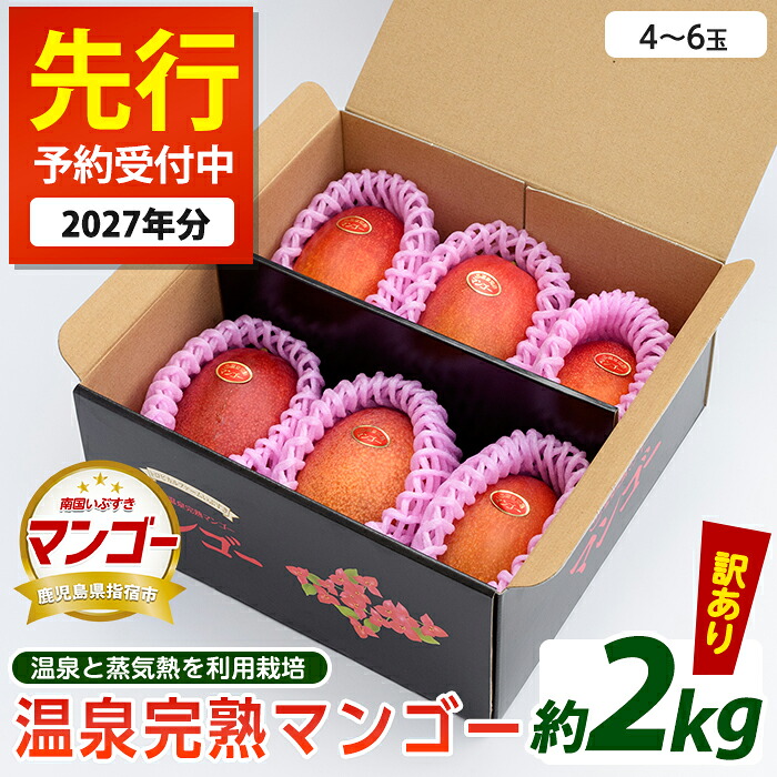 【ふるさと納税】＜先行予約受付中！2026年7月上旬以降順次発送＞【訳あり】温泉完熟マンゴー(約2kg・4～6玉)果物 フルーツ 完熟 スムージー ジュース 夏 旬 南国 家庭用 自宅用 鹿児島 いぶすき【トロピカルファームいぶすき】｜鹿児島県指宿市