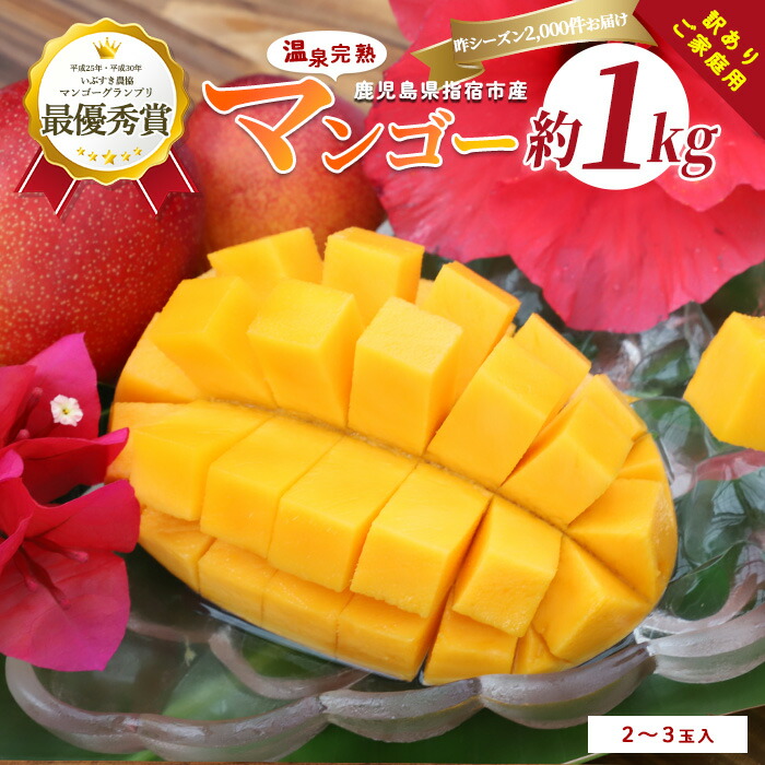 【ふるさと納税】＜訳あり・期間限定＞温泉完熟マンゴー(約1kg・2～3玉) 果物 フルーツ 完熟 スムージー ジュース 夏 旬 南国 家庭用 自宅用 鹿児島 いぶすき【トロピカルフルーツ＆プランツ】