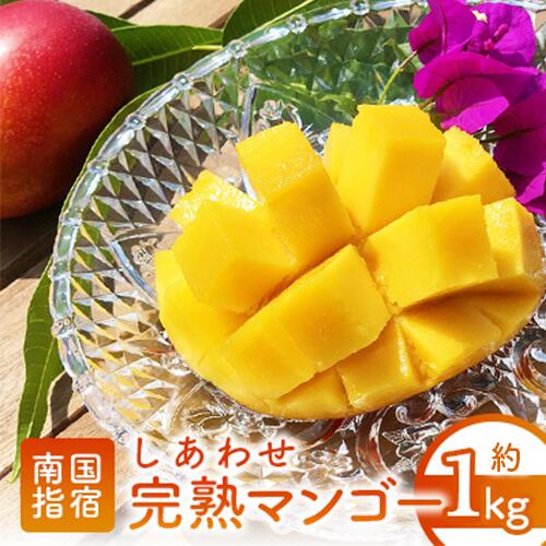 【ふるさと納税】＜先行予約受付中！2025年7月上旬以降順次発送＞指宿産しあわせ完熟マンゴー(約900g～1kg・2～3玉) 国産 南国 指宿産 鹿児島 アップルマンゴー マンゴー 果物 くだもの フルーツ 完熟 産地直送 お取り寄せ 夏 ギフト 贈答用【マンゴーの森】