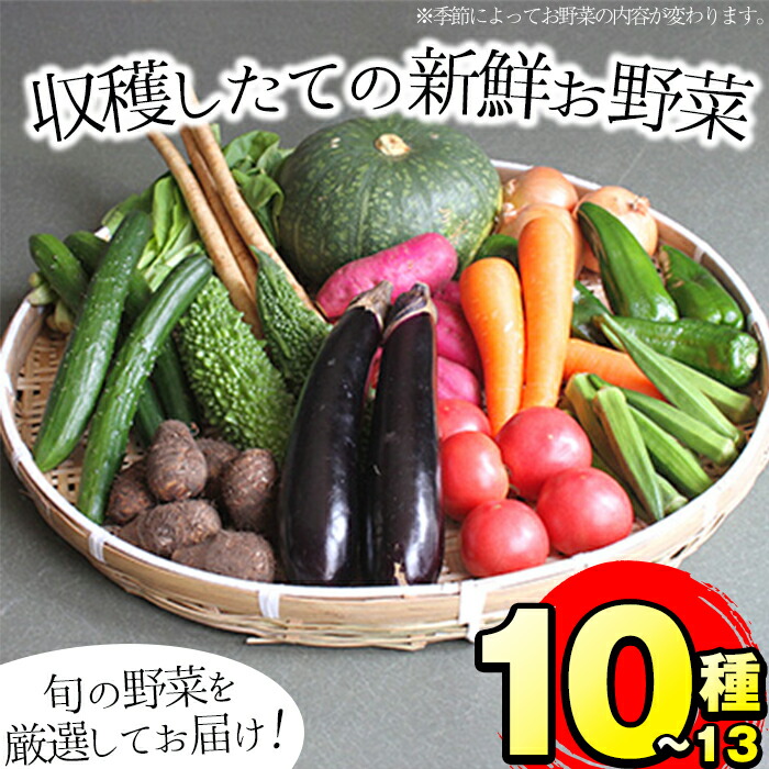 楽天市場】【ふるさと納税】＜先行予約受付中！2022年11月上旬以降順次発送＞鹿児島県指宿市産！家庭用さつまいも3種詰め合わせセット！紅はるか、 シルクスイート、安納芋を合計約10kg！しっとり系のサツマイモをSサイズ、Mサイズ、Lサイズ、2Lサイズ詰合せ【らくと農園 ...