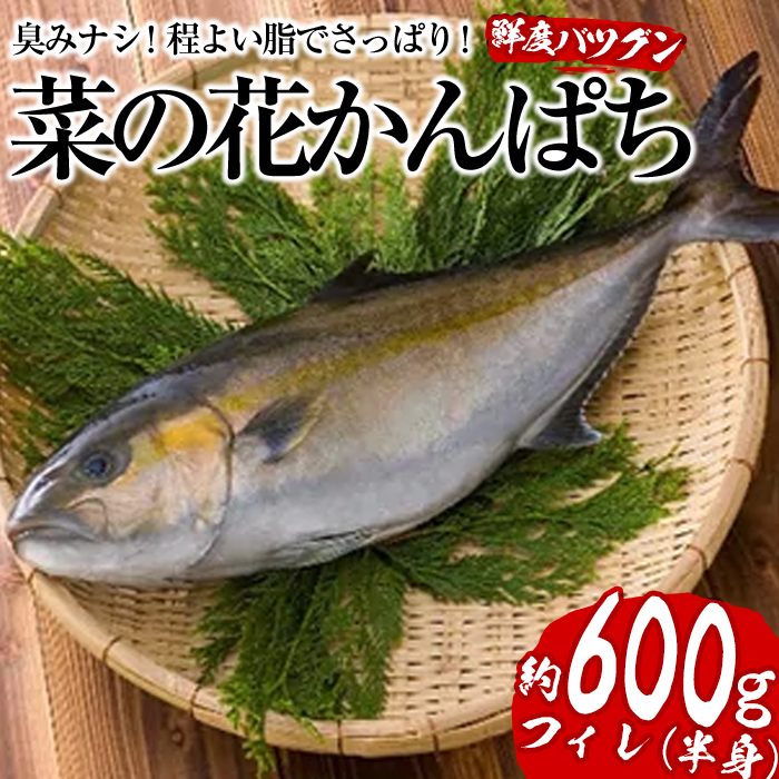 市場 ふるさと納税 国産うなぎの白焼き特大3匹セット