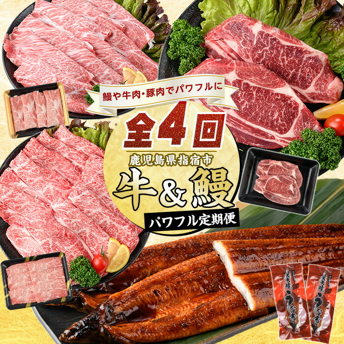 【ふるさと納税】＜定期便！全4回(連続)＞鹿児島自慢の牛・うなぎ パワフル定期便！ 定期便 鹿児島 肉 牛肉 和牛 ロース 肩ロース 有頭鰻 蒲焼き うな重 すき焼き しゃぶしゃぶ 薄切り 冷凍 こだわり 国産 特産品 指宿 牛すきステーキ【水迫畜産】