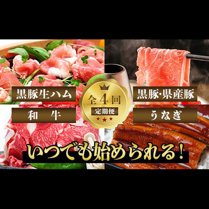 【ふるさと納税】＜定期便！全4回(連続)＞黒豚・和牛・うなぎ鹿児島よくばり定期便！ 牛肉 切り落とし 黒毛和牛 和牛 a5 すき焼き しゃぶしゃぶ スライス 豚肉 黒豚 豚バラ ロース うなぎ 鰻 ウナギ 蒲焼き かばやき 国産 冷凍 鹿児島 【水迫畜産】