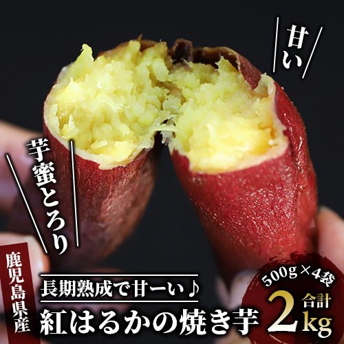 【ふるさと納税】鹿児島県産さつま芋 芋蜜とろり紅はるかの冷凍焼き芋(計2kg・500g×4袋) 焼き芋 やきいも 冷凍 さつまいも サツマイモ 紅はるか スイーツ 【中園久太郎商店】