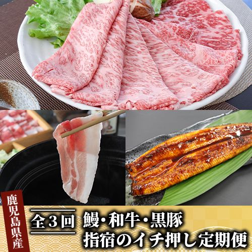 【ふるさと納税】＜全3回＞鰻・和牛・黒豚 指宿のイチ押し定期便 うなぎ 鰻 ウナギ 国産 蒲焼き かばやき うな重 うな丼 鹿児島県 牛肉 すき焼き しゃぶしゃぶ スライス 冷凍 肉 黒毛和牛 和牛 国産 A5 ロース 霜降り 赤身 豚肉 黒豚 しゃぶしゃぶ 豚バラ もも