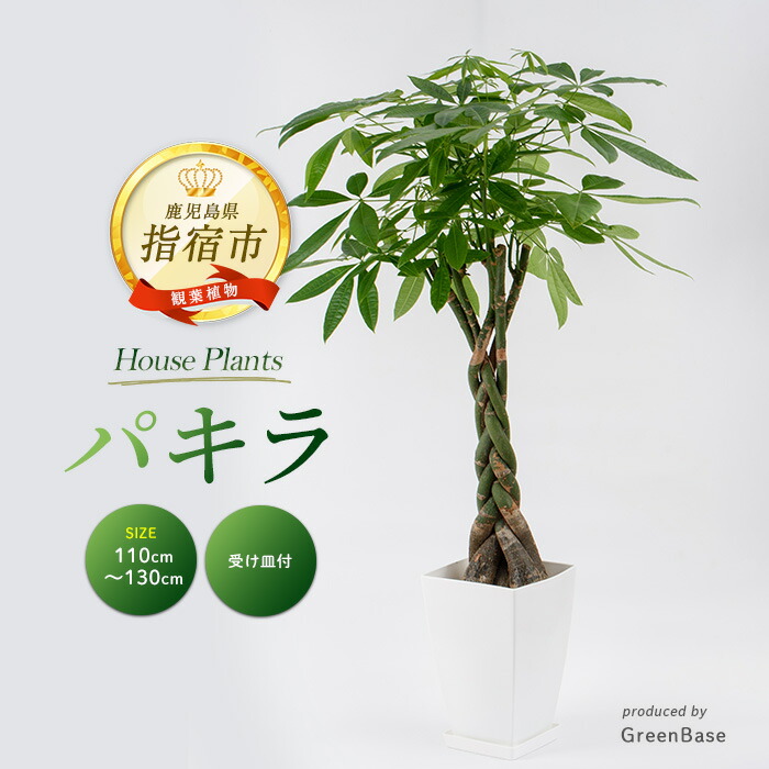 ●光の園 (2345A100-58) パキラリーフツリー 72 送料無料 95107 送料無料 ポピー 観葉植物 パキラミルキーウェイツリー フェイク