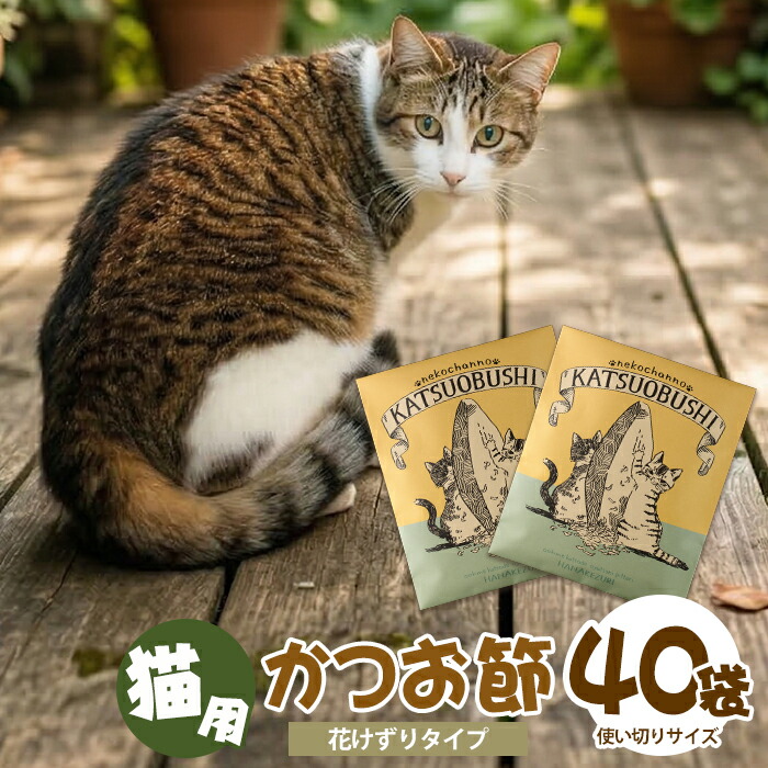 指宿市 献ずる金の役立つこと