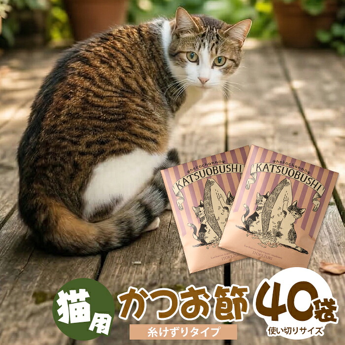指宿市 献ずる金の役立つこと