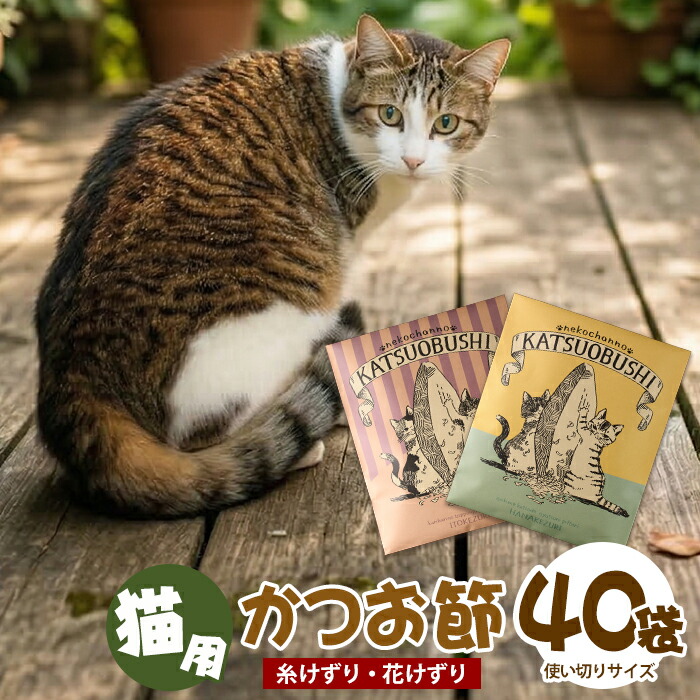 指宿市 献ずる金の役立つこと