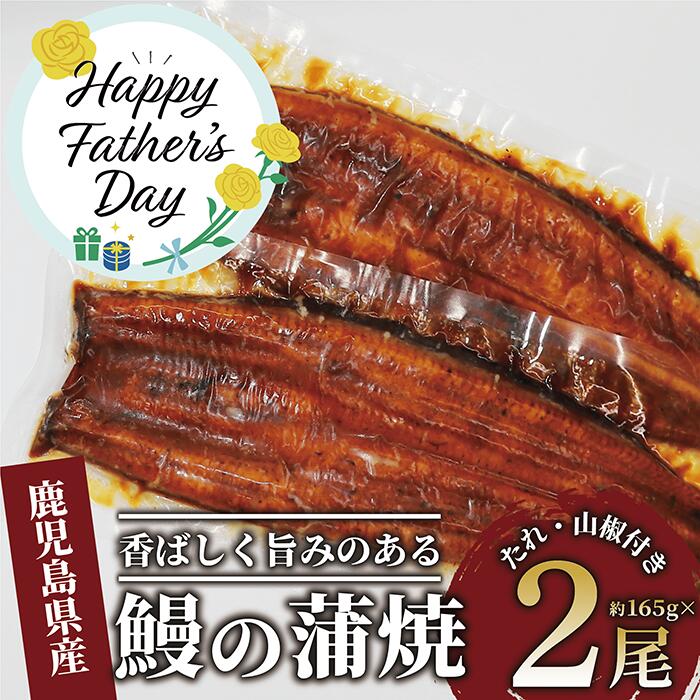 【ふるさと納税】【父の日におすすめ】6/8までのお申込みで6/13～6/15にお届け！鹿児島県産 鰻の蒲焼き 2尾セット(165g-2尾 タレ・山椒付)｜香ばしさと旨みたっぷりの極上うなぎ 鹿児島 国産 うなぎ 鰻 ウナギ 蒲焼き 蒲焼 かばやき お取り寄せ うな重 うな丼 贅沢グルメ ひ