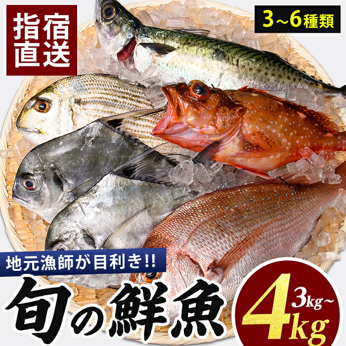 【ふるさと納税】【鮮魚】【指宿産直便】漁師が選ぶ季節の鮮魚便(3～6種・合計3～4kg) 魚 鮮魚 鮮魚ボックス お楽しみボックス 刺身 さしみ 刺し身 【指宿山川水産】｜鹿児島県指宿市 11,700円