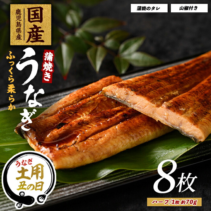 【ふるさと納税】【丑の日に最適】7/9～19までにお届け！(お申込みは7/13まで)【鹿児島県産】うなぎ蒲焼じっくり焼きハーフカット約70g×8枚 化粧箱入り(大新/031-1904) 鰻 ウナギ 蒲焼 国産 丑の日 うな重 無頭 ギフト プレゼント 贈り物 贈答 惣菜 総菜 小分け レンジ 簡