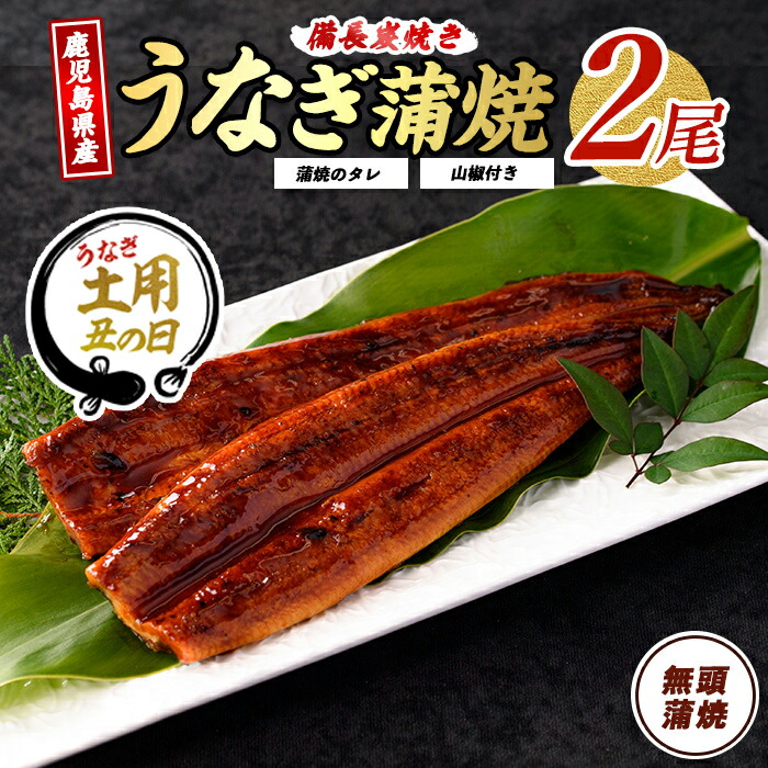 【ふるさと納税】【丑の日に最適】7/9～19までにお届け！(お申込みは7/13まで)鹿児島県産 備長炭焼き うなぎ蒲焼 約135g-2尾（無頭・タレ・山椒付き）うなぎ 鰻 ウナギ 蒲焼 蒲焼き かばやき タレ付き 鹿児島 国産 高級 お取り寄せ グルメ 人気 冷凍 うな重 うな丼 備長炭