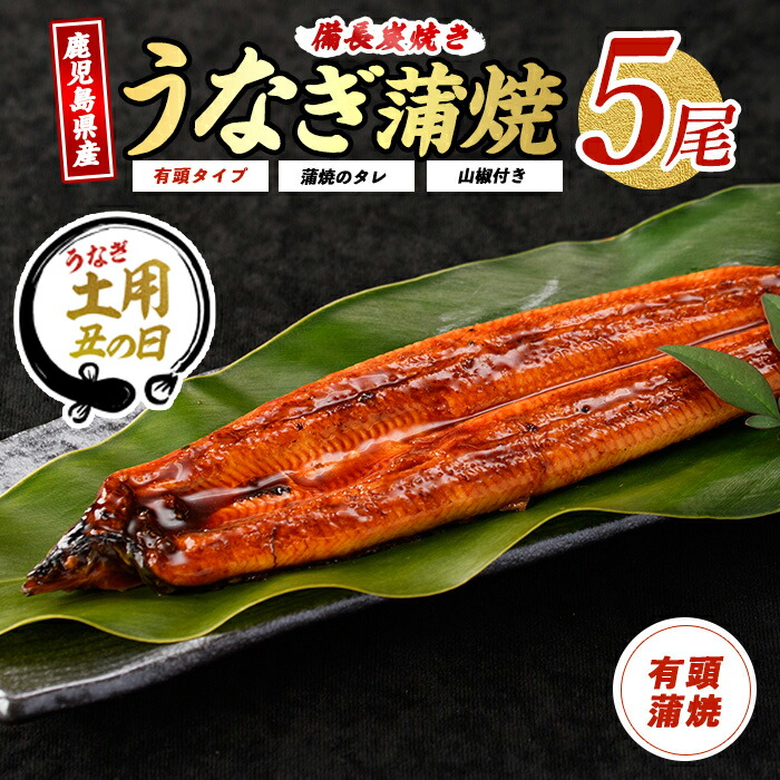 【ふるさと納税】【丑の日に最適】7/9～19までにお届け！(お申込みは7/13まで)＜お届け回数が選べる＞鹿児島産の鰻蒲焼贅沢セット！(通常：有頭背開き5尾・タレ、山椒付／定期便：有頭背開き5尾・タレ、山椒付×3回) うなぎ 鰻 ウナギ 鹿児島 国産 蒲焼き 備長炭 冷凍 うな