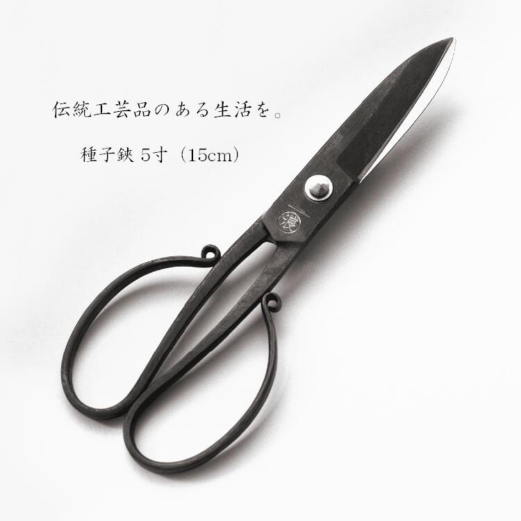新品　本種子鋏　6寸　黒仕上げ　池波刃物製作所 Amazon | 種子島本種 池浪刃物製作l所 種子鋏（たねばさみ）黒