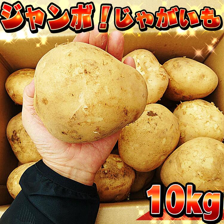ナガラメ トコブシ
