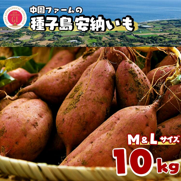 【ふるさと納税】＼ 新物 順次発送中 ／ 中園ファームの種子島安納いも（生いも）M&Lサイズ　10ｋｇ