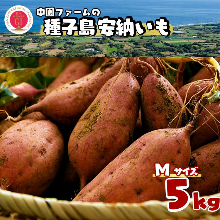 【ふるさと納税】＼ 新物 順次発送中 ／  種子島 安納いも ＼ Mサイズ 生いも 5kg ／ 中園ファーム ふるさと納税 さつまいも 生芋 ふるさと納税 焼き芋 ホクホク ねっとり 蜜が出るほど 甘い 安納芋 芋 ふるさと 人気 ランキング
