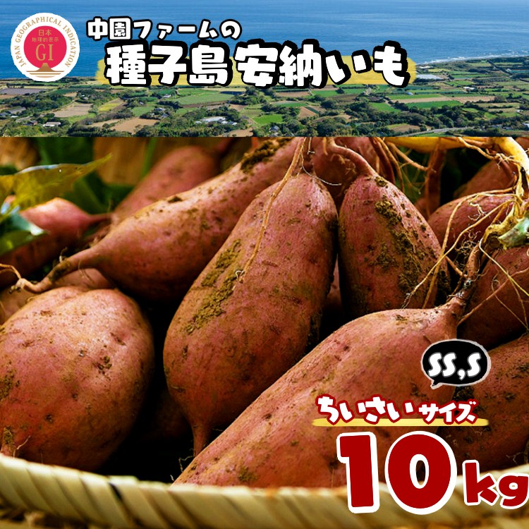 【ふるさと納税】＼ 新物 順次発送中 ／中園ファームの種子島安納いも（生いも）SS,Sサイズ　10ｋｇ