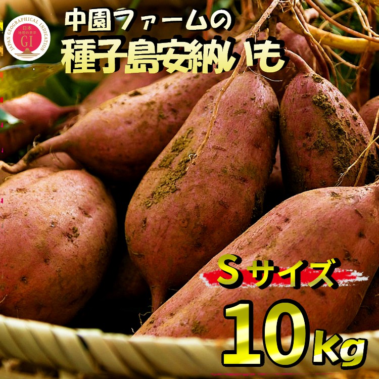 【ふるさと納税】＼ 新物 順次発送中 ／ 中園ファームの種子島安納いも（生芋）Ｓサイズ10kg