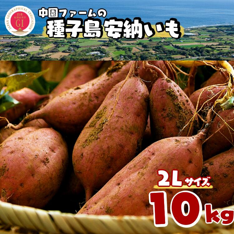 【ふるさと納税】＼ 新物 順次発送中 ／  種子島 安納いも ＼ 2L ジャンボサイズ 生いも 10kg ／ 中園ファーム ふるさと納税 さつまいも 生芋 ふるさと納税 焼き芋 ホクホク ねっとり 蜜が出るほど 甘い 安納芋 芋 ふるさと 人気 ランキング