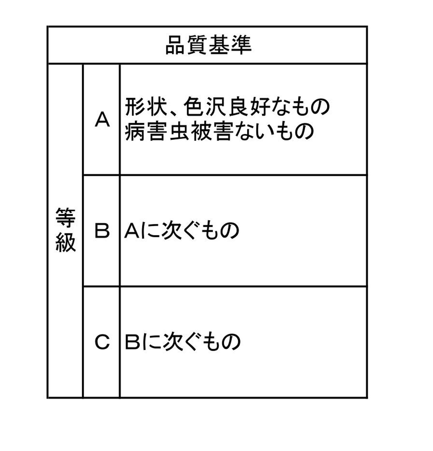 ふるさと納税 火縄銃創造の大玉かぼちゃ 3kg以上 2個 6月中旬一層探検 Daemlu Cl