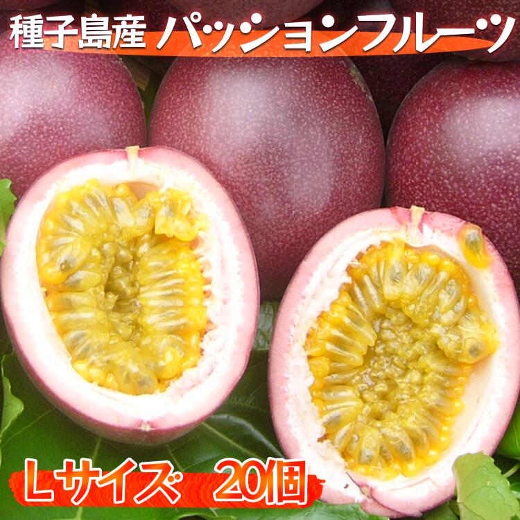 【ふるさと納税】 種子島 パッションフルーツ  Lサイズ（20個入り） 甘み の強い サマークイーン パッション フルーツ