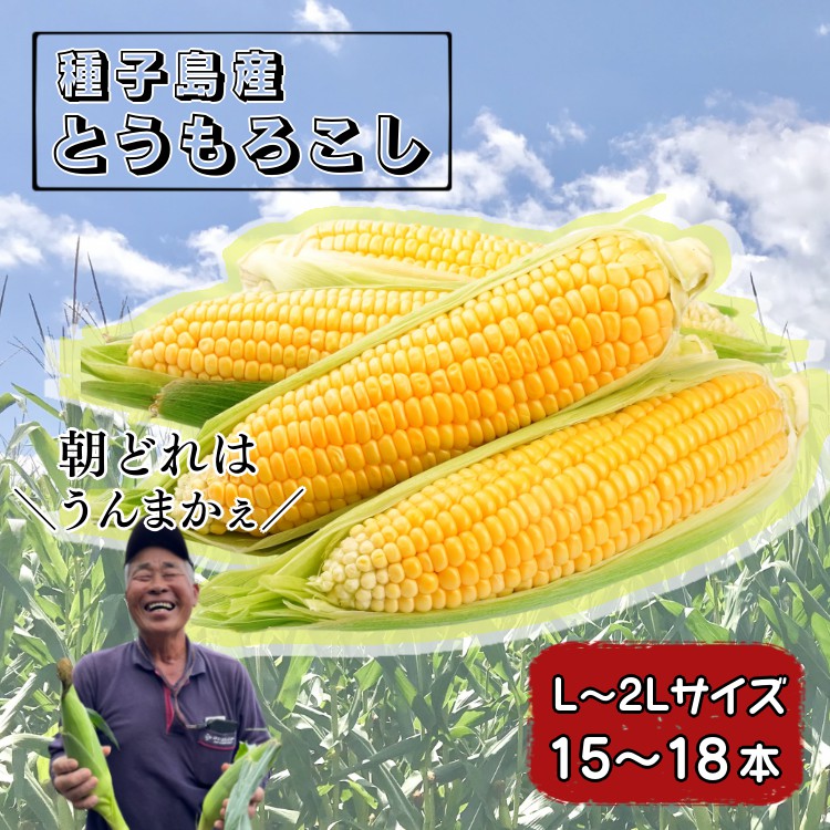 【ふるさと納税】 種子島 産 とうもろこし（15～18本）