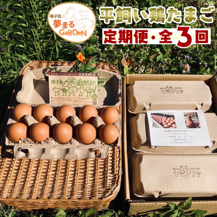 【ふるさと納税】定期便 種子島・夢まるガーデンの 産みたて 平飼い 自然 卵 60個 全３回 お届け (合計180個)