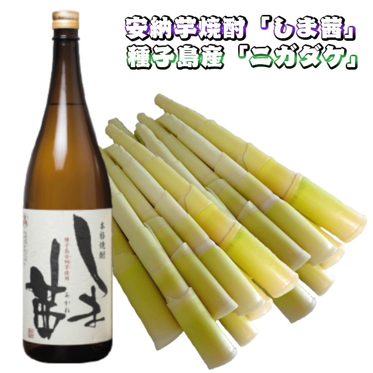【ふるさと納税】＼先行予約／ 焼酎 しま茜 と 種子島 ニガダケ のセット