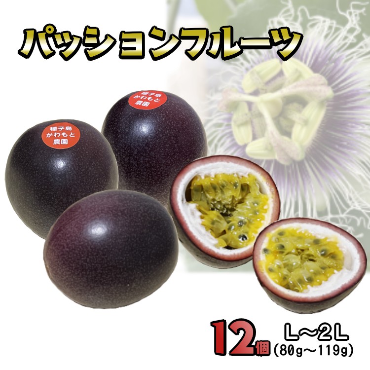【ふるさと納税】 種子島 かわもと農園の パッションフルーツ （12個入り） 甘み の強い サマークイーン パッション フルーツ
