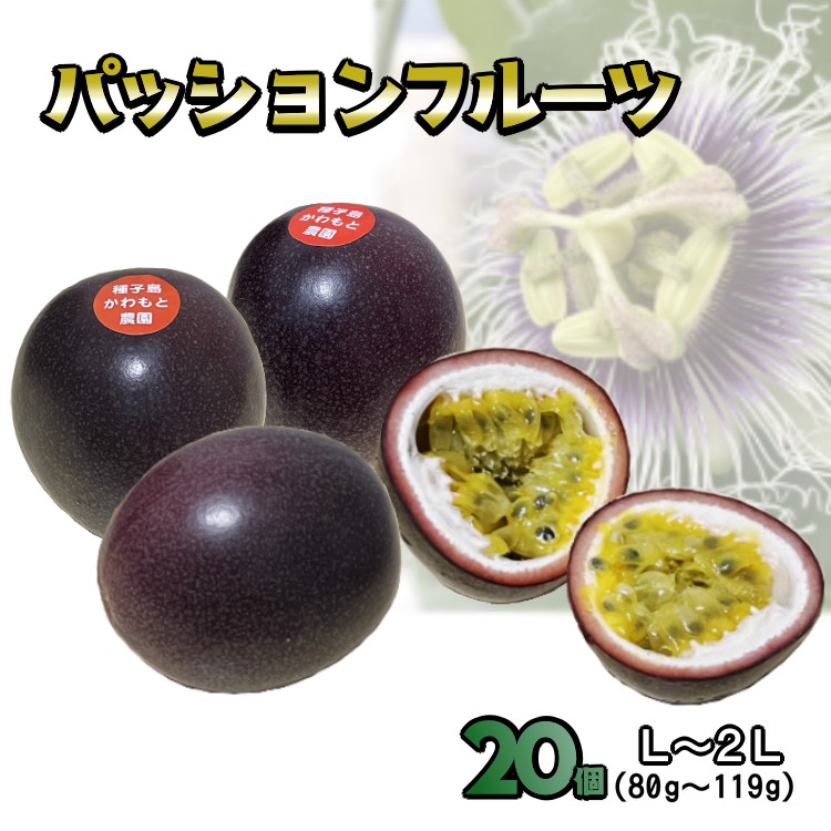 【ふるさと納税】 種子島 かわもと農園の パッションフルーツ （20個入り） 甘み の強い サマークイーン パッション フルーツ