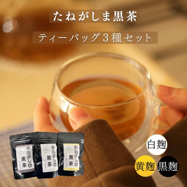 【ふるさと納税】たねがしま 黒茶 ティーバッグ 3種 （黒麹・白麹・黄麹)