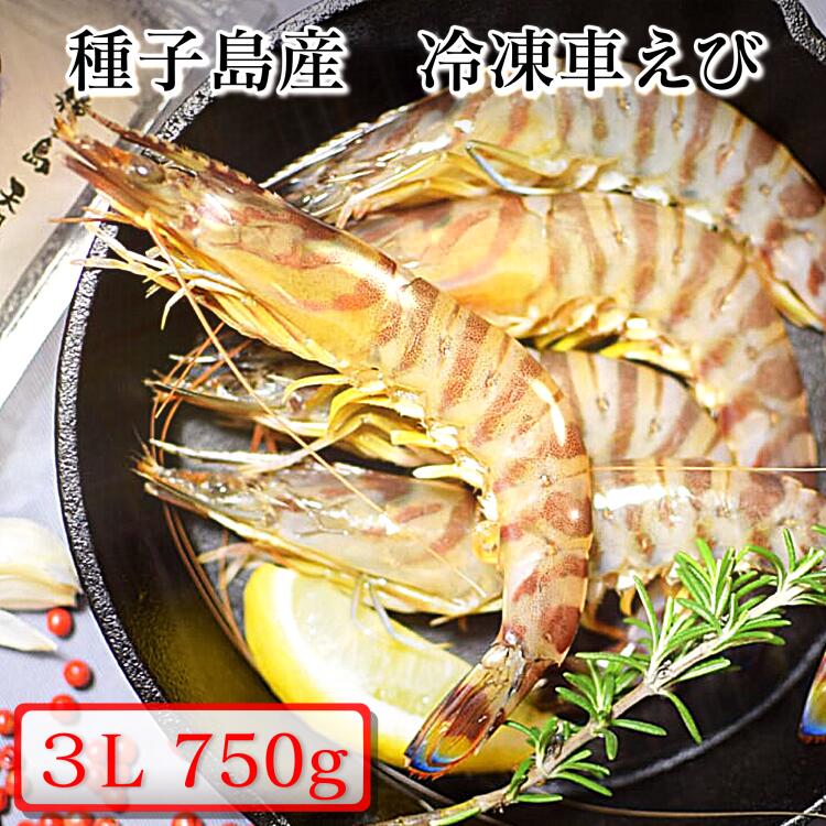【ふるさと納税】 ＼食べ応え抜群／ 種子島産 真空パック 冷凍 車えび 特大 3Lサイズ 750g (250g×3パック)  ふるさと納税 車海老 冷凍 ふるさと納税 大 えび 種子島 の 養殖 車えび 化学薬品等不使用で安心・安全 ふるさと 人気 ランキング