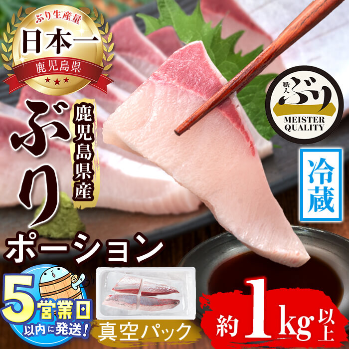 【ふるさと納税】＜すぐ届く！＞鹿児島産冷蔵ぶり刺身用 皮無ポーション(計1kg以上・背側、腹側計4P)ぶり ブリ 鰤 魚 海鮮 魚介 刺身 さしみ しゃぶしゃぶ 焼魚 煮魚 ポーション 皮無し 半身 国産 鹿児島県産 垂水市産 冷蔵 養殖 ぶり職人【アクアブルー】B2-4779