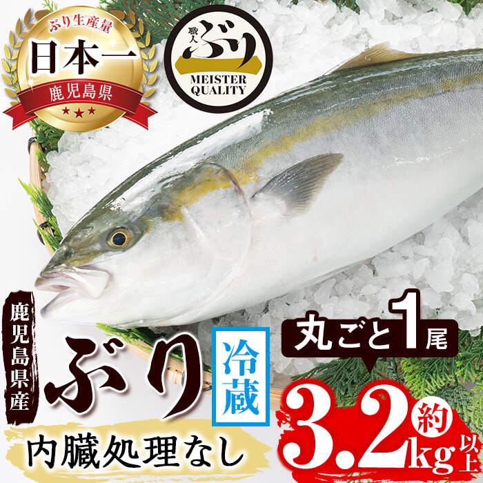 楽天市場】【ふるさと納税】鹿児島産冷凍ぶり＜漬け焼き魚＞バジル