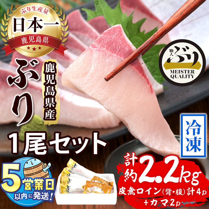 【ふるさと納税】＜すぐ届く！＞鹿児島産冷凍ぶり1尾セット(計2.2kg以上・ロイン背側、腹側計4P、カマ2P)ぶり ブリ 鰤 魚 海鮮 魚介 セット 刺身 さしみ 柵 しゃぶしゃぶ 煮魚 皮無し 半身 カマ 国産 鹿児島県産 垂水市産 ぶり職人【アクアブルー】D4-4705