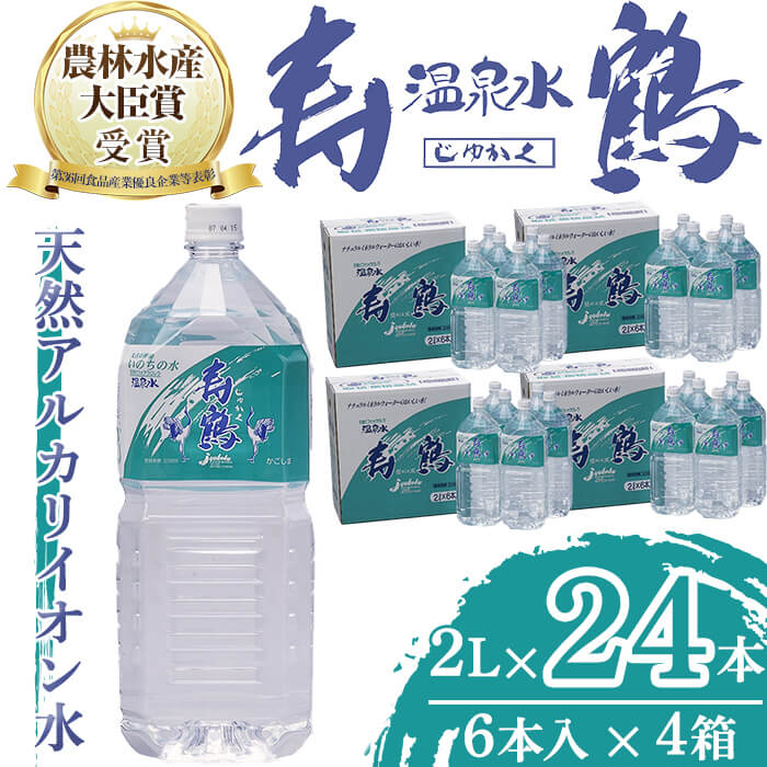ペットボトル飲料 PEPSI サントリー ペプシ BIG 生 600ml ペットボトル 24本入