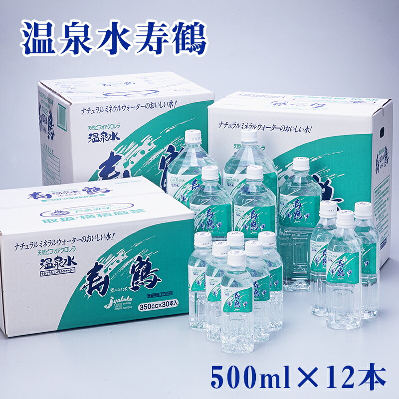 お茶 緑茶 500ml 垂水市 知覧茶葉使用 ペットボトル 鹿児島県 × お茶だもん 48本 おいしいネ 財宝 水出し